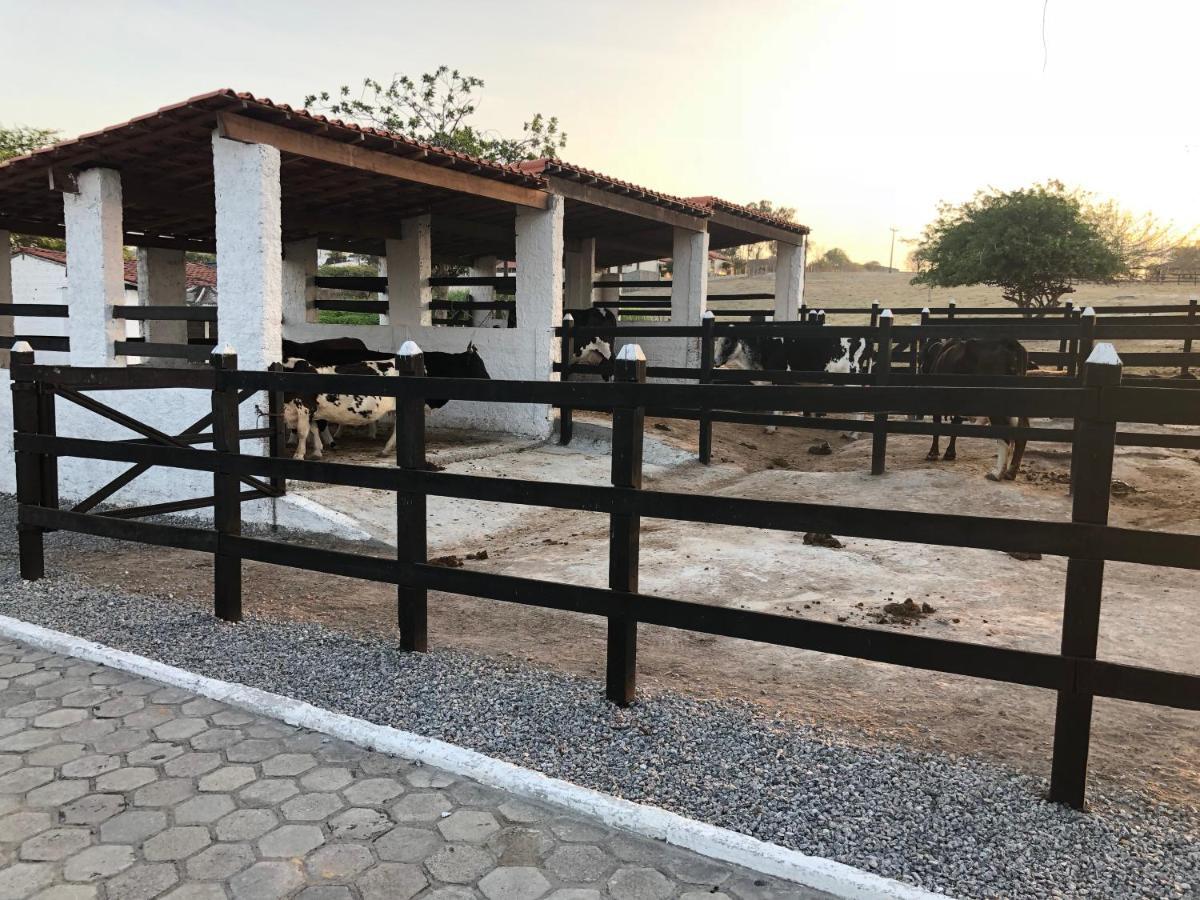 Flat 601 Condominio Villa Hipica - Gravata, Pe Εξωτερικό φωτογραφία